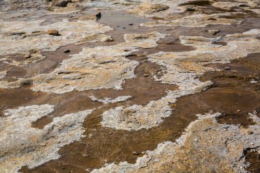 Geothermally etkin Haukadalur Vadisi