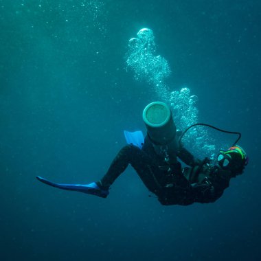 Koh Tao adası yakınlarında dalgıç sualtı