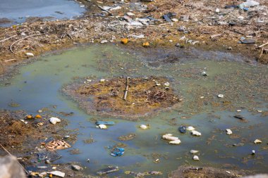 doğal görünümünü tarihi: Hindistan eyaleti