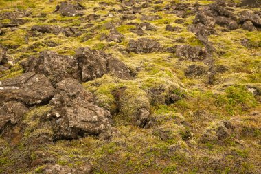 Doku Reykjanesfolkvangur İzlanda Dağı.