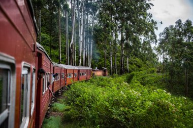 Nuwara Eliya, Sri Lanka-Nisan 12: Eski trende 12 Nisan 2018 yılında Nuwara Eliya, Sri Lanka. Çay tarlaları Tren