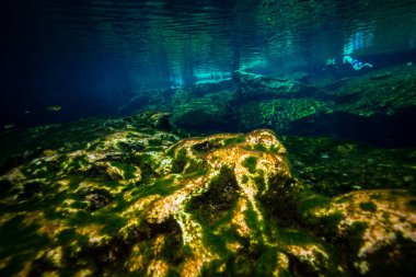 Meksika okyanus altta mağarasının sualtı görüntü