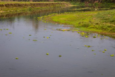 Timsah Chitwan Milli Parkı içinde