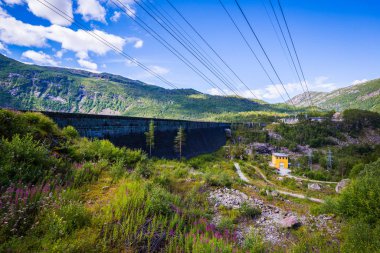 Turistik ve yerler arasında seyahat, Norveç