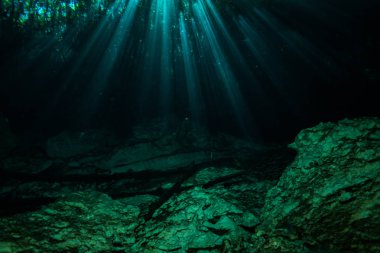Meksika okyanus altta mağarasının sualtı görüntü