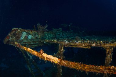 Red Sea yakınındaki Sharm El Sheikh, Mısır Resifi'nde Tarih Glassboat batık