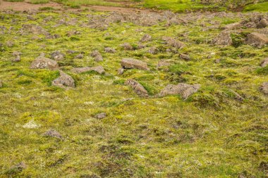 Doku Reykjanesfolkvangur İzlanda Dağı.