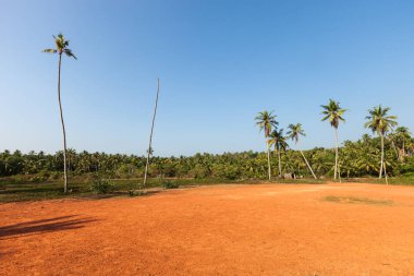 Yağmur ormanları. Güney Hindistan. Kerala Devlet