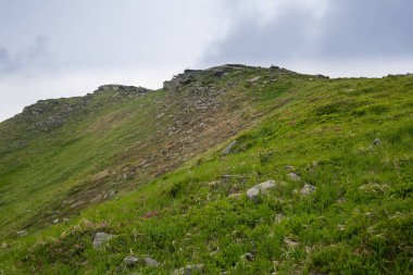 Karpat dağları, Ukrayna'da muhteşem manzara
