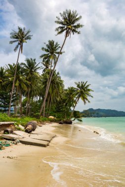 güzel deniz kıyısında, Koh Samui, Tayland