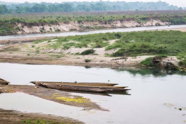 Timsah Chitwan Milli Parkı içinde