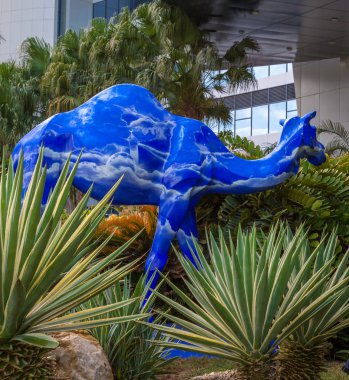 Birleşik Arap Emirlikleri-Abu Dabi başkenti ile seyahat. En büyük akvaryum görünümü