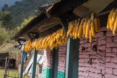 Gündüz nepal gezi lerinde seyahat, mimari ve bina görünümü, Güney Asya 