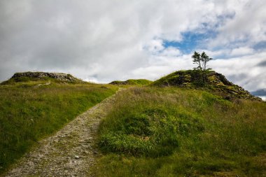 Ulriken tepesine peyzaj