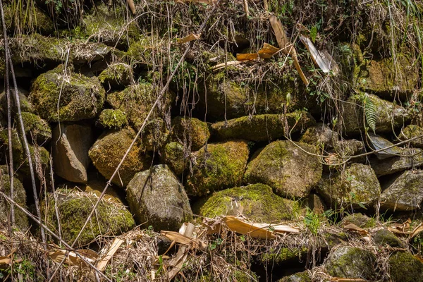 Nepal il keşfetmek doğal görünümü