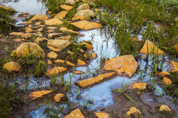 Olio Acqua Parco Nazionale Norvegese Jotunheimen — Foto Stock