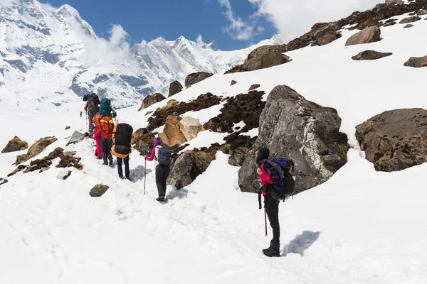 Narchyang, Nepal-Mart 23: Turist 23, 2015 yılında Narchyang, Nepal bir grup. Annapurna Merkez kampına bir güzergah üzerinde turist bir grup.