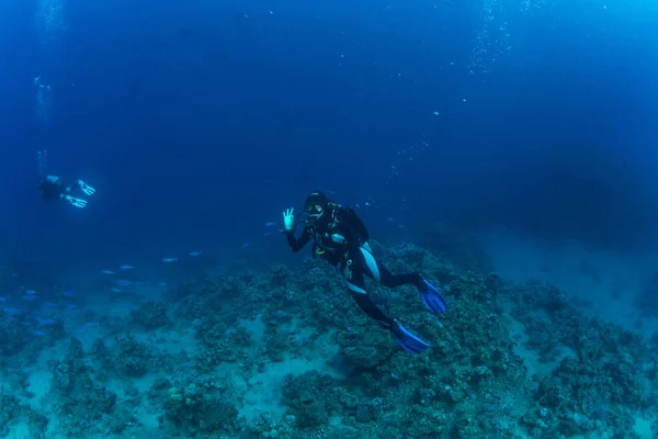 Plongeur Sur Les Sourds Mer Rouge — Photo