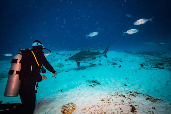 Underwater Mexico — Stockfoto