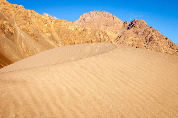 Nubra Долини Пустеля Висоті 4000 Гімалаях Індія Провінція Ладакху — стокове фото