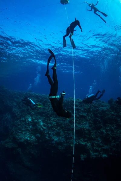 Mergulhadores Recife Mar Vermelho — Fotografia de Stock