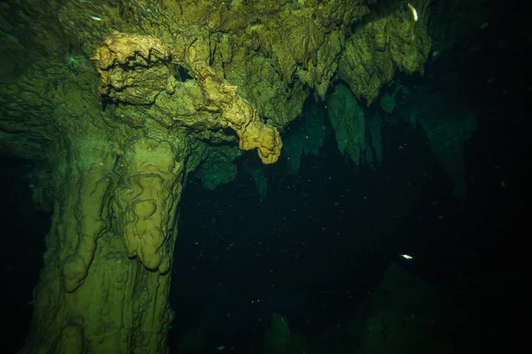 Image Sous Marine Grotte Fond Océan Mexique — Photo