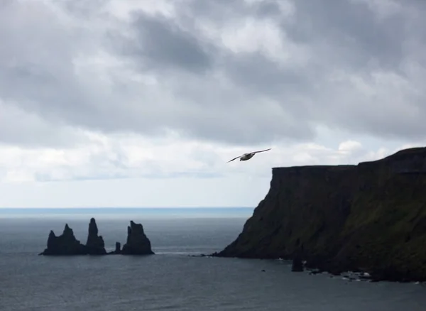 Podróż Przez Zabytki Miejsca Islandia — Zdjęcie stockowe