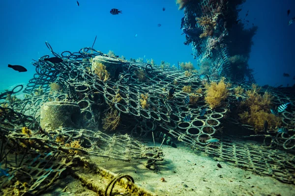 Sualtı atışı ve deniz zemini