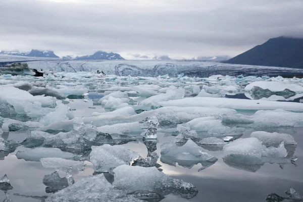 Iceberg Nella Laguna Dei Ghiacciai Islanda Ekulsarlon — Foto Stock