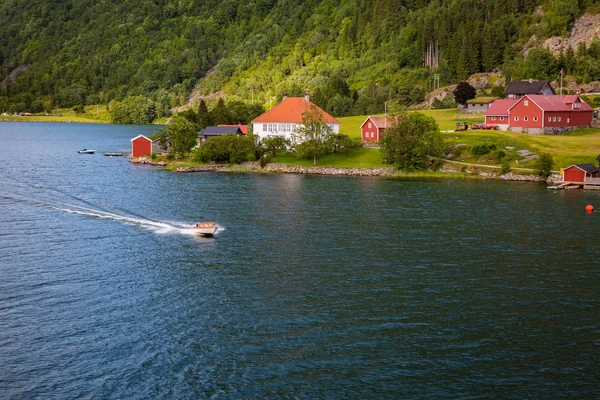 Panoramma Van Sognefjord Zomer — Stockfoto