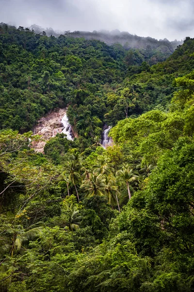 Luftaufnahme Des Grünen Waldes Thailand — Stockfoto