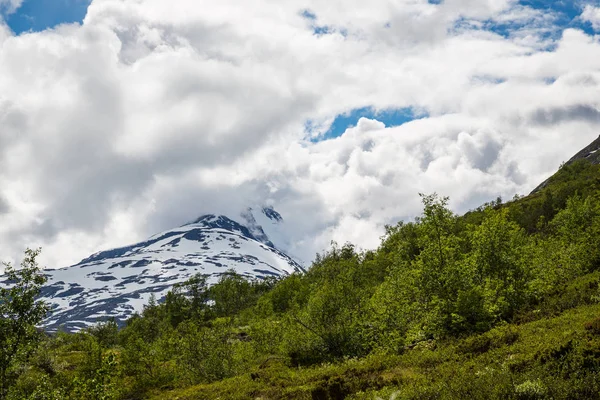 Norveç Milli Parkı Jotunheimen Güzel Manzara — Stok fotoğraf