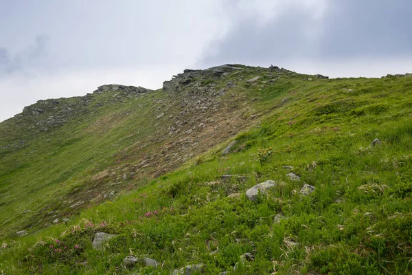 Karpat dağları, Ukrayna'da muhteşem manzara