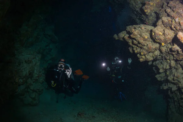 Підводний Постріл Морська Підлога — стокове фото