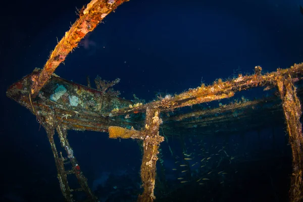 Épave Une Verrière Sur Récif Mer Rouge Près Sharm Sheikh — Photo