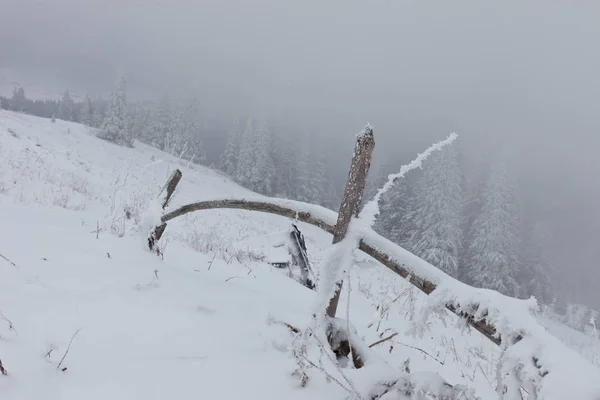 Turistik Yerler Yerlere Seyahat Carpathian Mountains Ukrayna — Stok fotoğraf