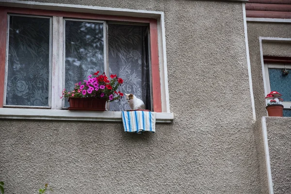 Romanya'nın küçük kasabalarını gündüz gezerken, bina ve mimariye bakış, Romanya 