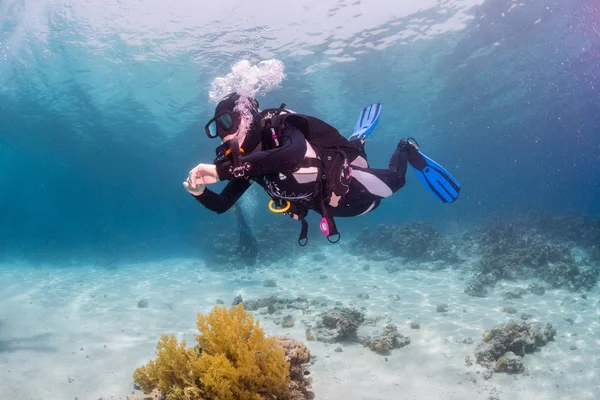 dalgıç sualtı görünümünü Red sea, Mısır resif üzerinde