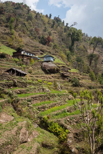 Fält Nepalesiska Byn Väg Till Baslägret Annapurna Himalaya — Stockfoto