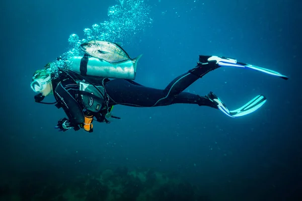 Mergulhador Subaquático Perto Ilha Koh Tao — Fotografia de Stock