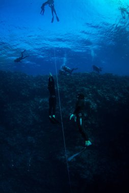 Kızıldeniz resifüzerinde Dalgıçlar