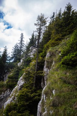 Karadağ dağ silsilesi içinde Karpatlar yaz Panoraması