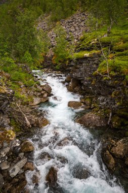 Norveç Jotunheimen Milli Parkı'nda görkemli Nehri