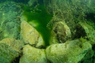 Ukrayna nehrin dibini doğası