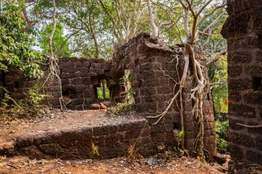Redi fort Kuzey Goa