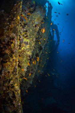 II. Dünya Savaşı sırasında Red Sea, Mısır İngiliz askeri nakliye gemisi battı
