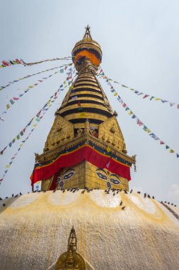 Swayambhunath Tapınağı Katmandu Nepal'ın başkentinde karmaşık