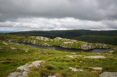 Ulriken tepesine peyzaj