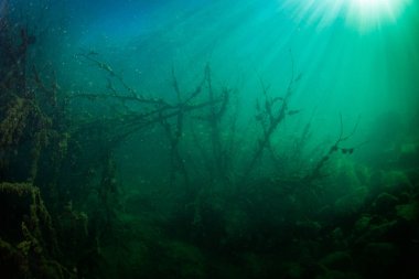 Ukrayna nehrin dibini doğası