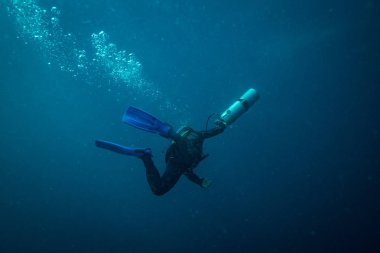 Koh Tao adası yakınlarında dalgıç sualtı